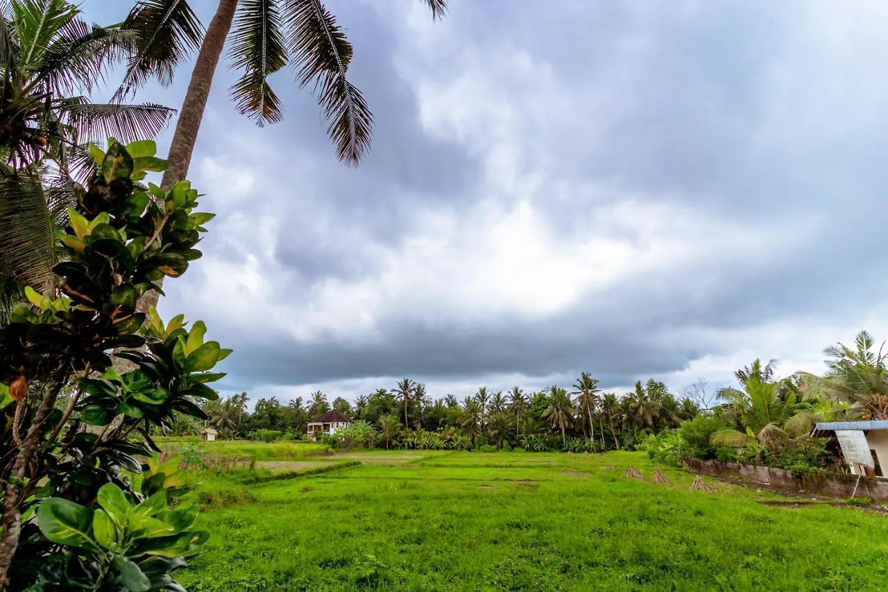 Rizky Guesthouse Ubud  Ubud (Bali)